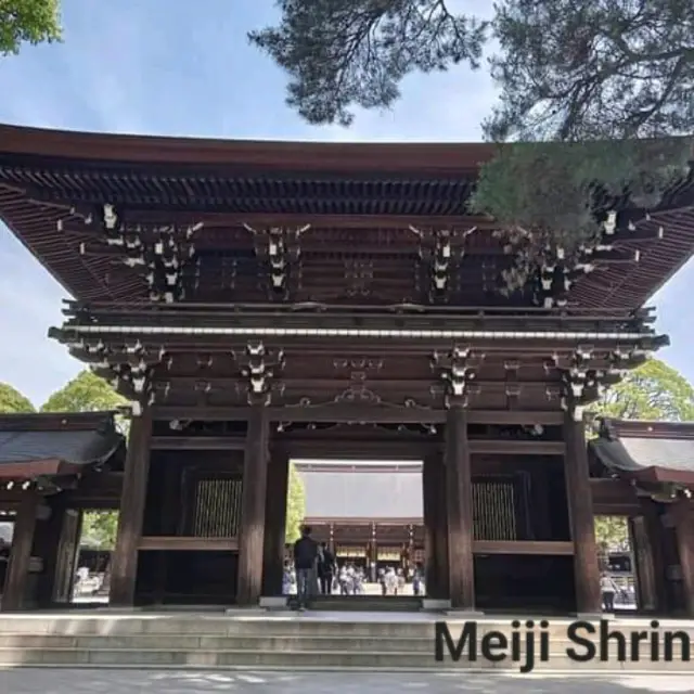 Meiji Shrine ในป่ากลางกรุง
