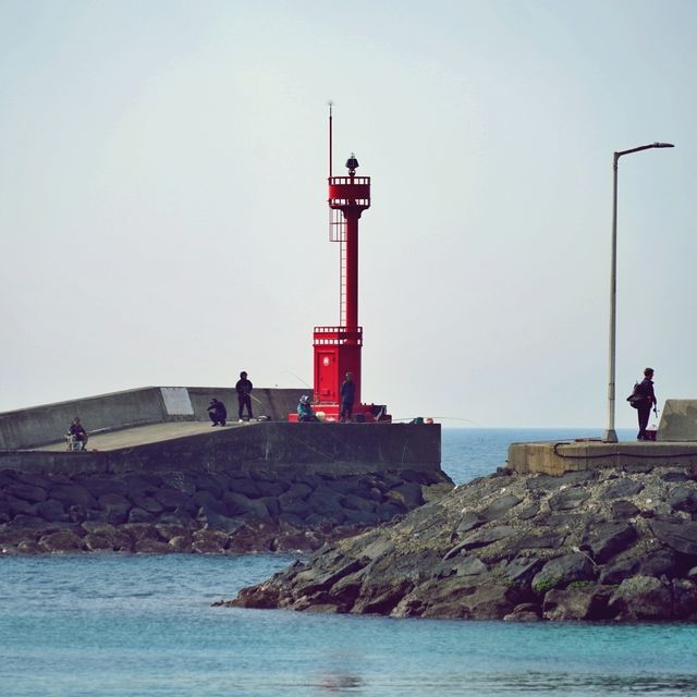 🌊 신촌포구, 제주의 과거와 현재가 공존하는 곳