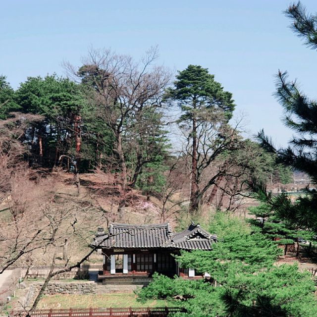 봄을 기다리는 한옥 강릉 선교장