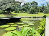 Singapore Botanic Gardens