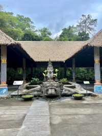 Bali Safari and Marine Park