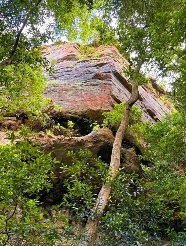 The Blue Mountains