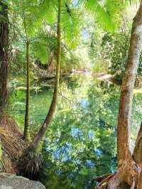 Daintree National Park