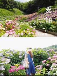 形原温泉　あじさいの里