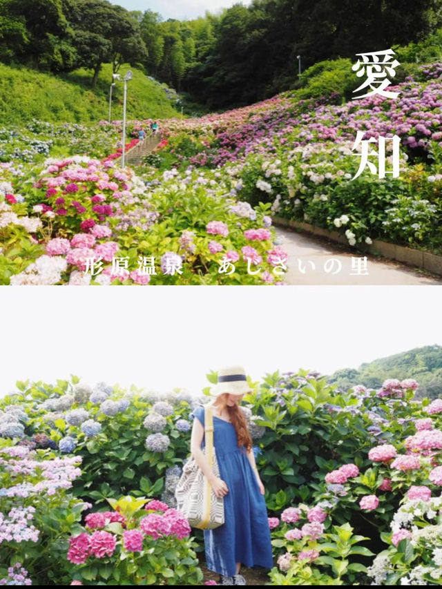 形原温泉　あじさいの里