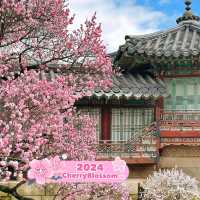 Changdeok-gung palace in Korea 