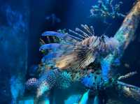 Underwater World Pattaya