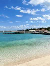 【黒島】石垣島から日帰りでも行けるのどかな島