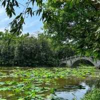 澳門水塘公園：世外桃源