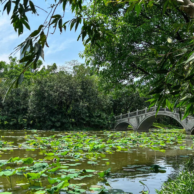 澳門水塘公園：世外桃源