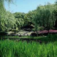 【日韓春天好去處】城市綠洲，親密接觸大自然
