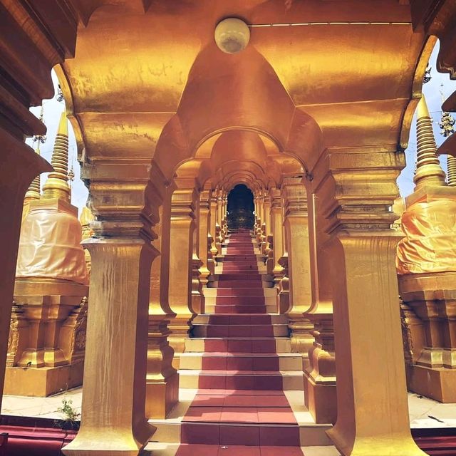 พามาทำยุญวัดป่าสว่างบุญ