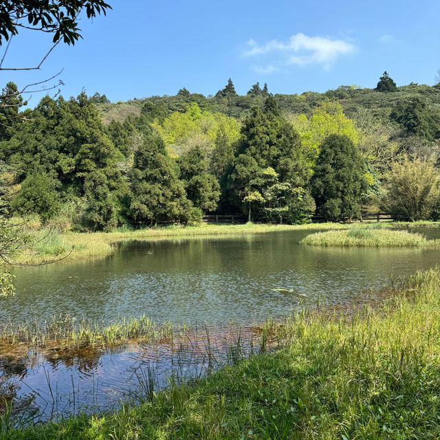 台北陽明山晴天一日遊🌱