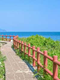 塔門島,母愛的夏日祭典