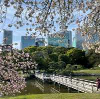 Hama-rikyu Gardens