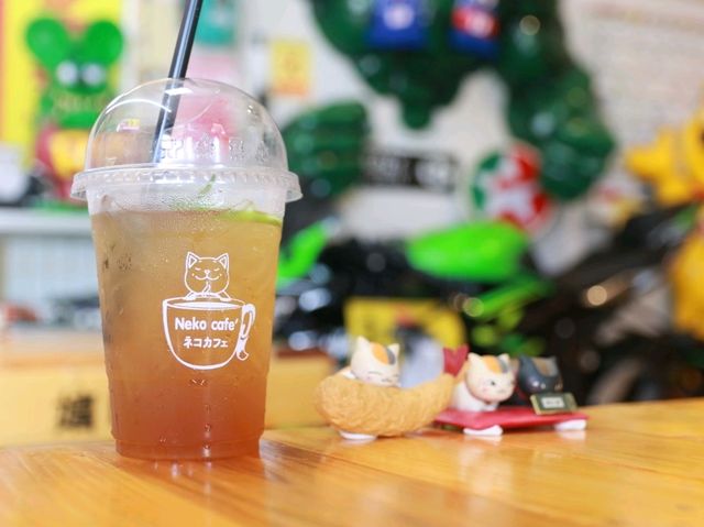 เที่ยวคาเฟ่ญี่ปุ่น Neko cafe