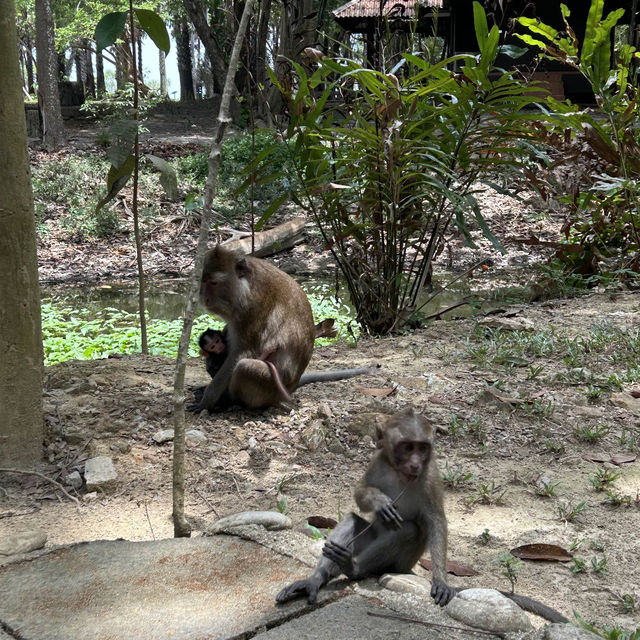 Koh Lanta