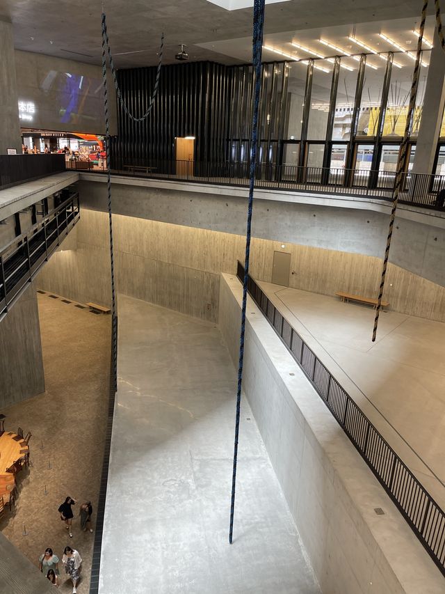 M+博物館探秘指南✨🏛️