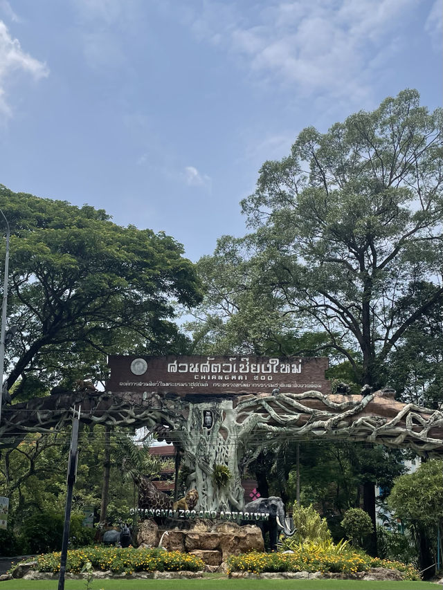 ไปดูสัตว์ที่สวนสัตว์เชียงใหม่