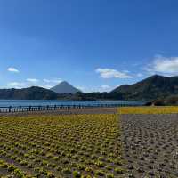 四季花海「池田湖」