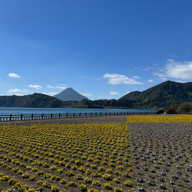 四季花海「池田湖」