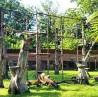 Taiping Zoo and Night Safari