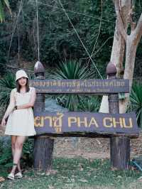 ตั้งแคมป์ นอนดูดาว ณ ผาชู้