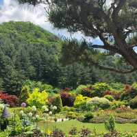 「日本鍋瀑布公園：春日浪漫，心靈寧靜」
