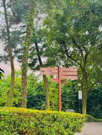 🇸🇬 Scenic Getaway at Mount Faber Peak, Singapore