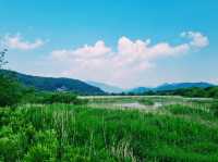 Hwapocheon wetland ecological park