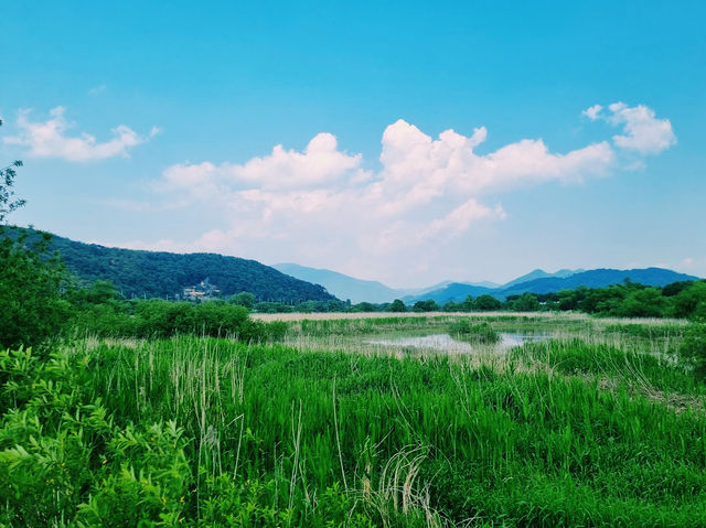 Hwapocheon wetland ecological park