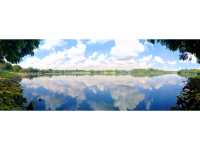 🇸🇬 Lower Peirce Reservoir Park
