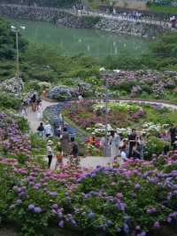 中部地方最大規模の紫陽花スポット‼️夜のライトアップもホタルも楽しめる😍