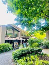 IVY PLACE