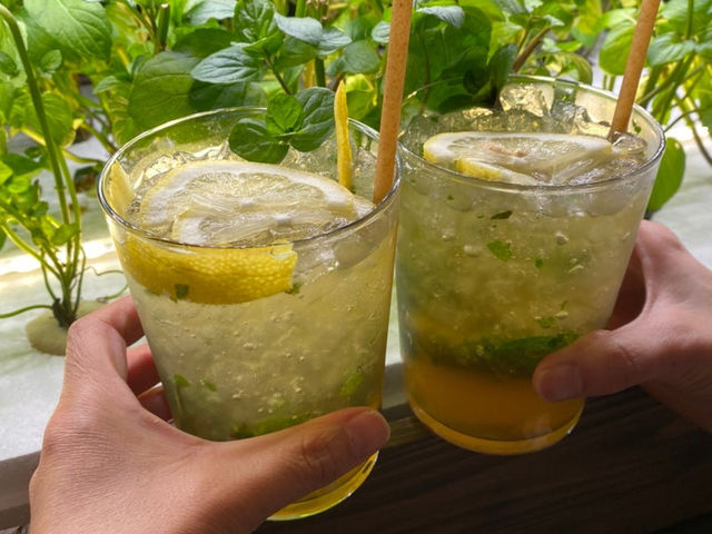 【福岡カフェバー】お店で栽培したミントを自分で摘める！楽しいカフェバー