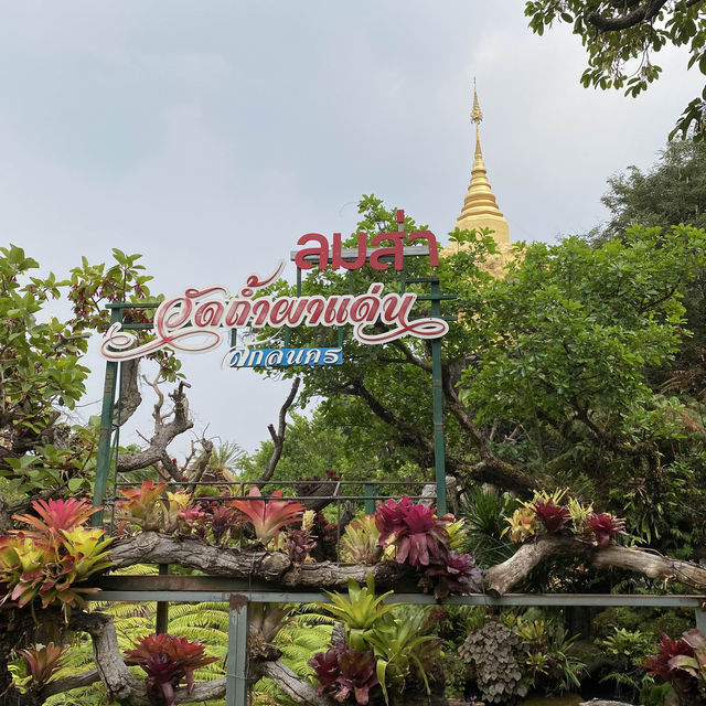 วัดถ้ำผาแด่น วัดสวยสุดอันซีนที่สกลนคร