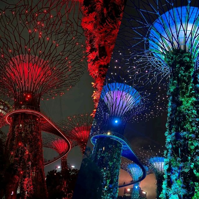 【新加坡】Supertree Grove：壯觀景色，值得欣賞🌟🌟🌟🌟🌟