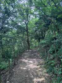 【福岡観光/自然】森林浴