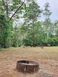 🇦🇺 Awesome Camping Site in Queensland, Australia