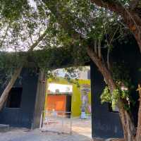 Explore paradise on Kish Island: pristine beaches, vibrant culture