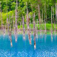 Hokkaido: Japan's Pristine Wilderness and Cultural Delights