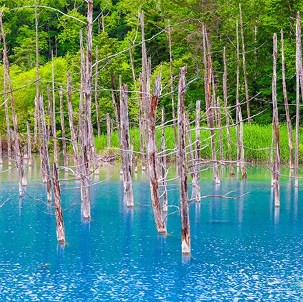 Hokkaido: Japan's Pristine Wilderness and Cultural Delights