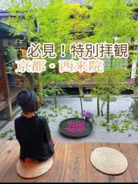 超貴重な特別拝観☺️建仁寺塔頭のお寺・西来院💙☕️期間限定のブルーボトルコーヒーとのコラボも☕️💙