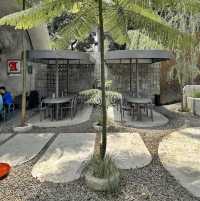 BERKALA COFFEE | THE COOLEST COFFEE SHOP ON AMPERA RAYA, SOUTH JAKARTA