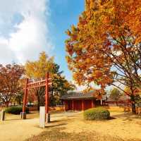 Timeless Charm: Exploring Jeonju Hanok Village