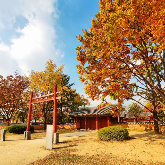 Timeless Charm: Exploring Jeonju Hanok Village