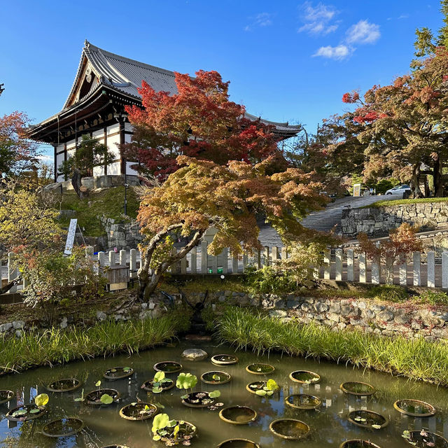 〜京都府〜穴場スポット！京都を一望新撰組ゆかりの地