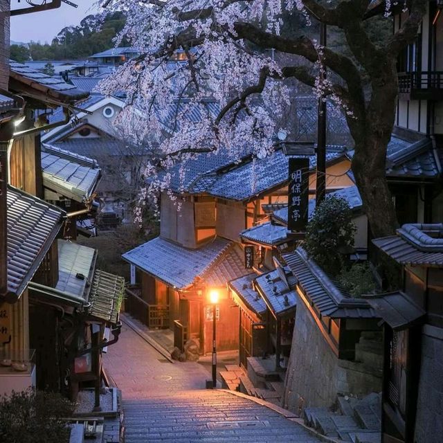 Enjoy Night Views in Kyoto City Streets 🌃✨