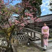 〜京都府〜学問、芸能のパワースポット！北野天満宮