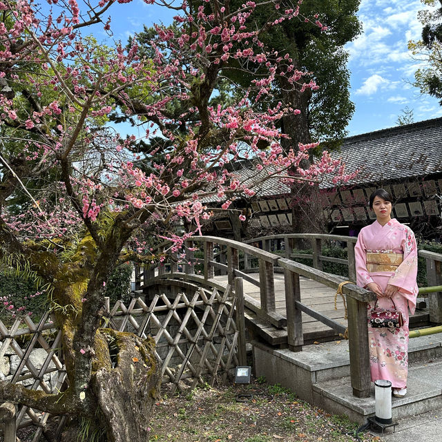 〜京都府〜学問、芸能のパワースポット！北野天満宮